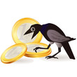 Vector: Black crow with Euro coins Black crow with Euro coins
