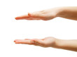 Hand, palm. On a white background. Isolated.