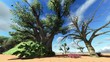African savannah