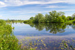 Beautiful Irish forest reflected in the lake Beautiful Irish forest reflected in the lake