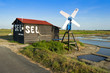 Vente de sel au milieu des marais de Noirmoutier