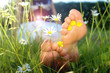 its summer time