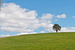 Photo : Alone Alone
