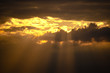 Rays of the sun
