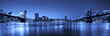 View of Manhattan and Brooklyn bridges and skyline at night