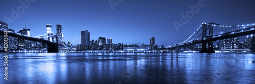 View of Manhattan and Brooklyn bridges and skyline at night