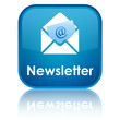 "Newsletter" glossy button