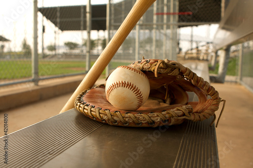 Photo: Baseball & Bat on the Bench Baseball & Bat on the Bench