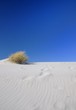 Deserto Sardegna