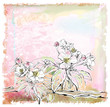 sketch of apple tree in bloom