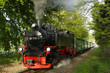 "Rasender Roland" auf Rügen