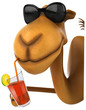 Fun camel