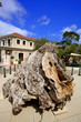 grèce; ioniennes, kefalonia : port de Fiscardo