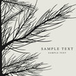vector pine branch background