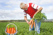 Foto: Proud carrot farmer picking fresh carrots in his basket Proud carrot farmer picking fresh carrots in his basket