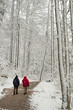 Spaziergang im Schnee