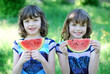 Foto: Eineiige Zwillinge essen Melone Eineiige Zwillinge essen Melone