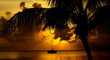 Sailing in the Sunset