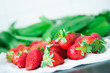 Erdbeeren und Bärlauch II