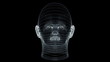 Video: Wireframe Head Wireframe Head