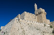 The tower of David