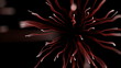 Video: Neurons Neurons