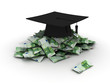 graduation hat with euro money