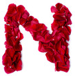 Photo: alphabet N made from red rose alphabet N made from red rose