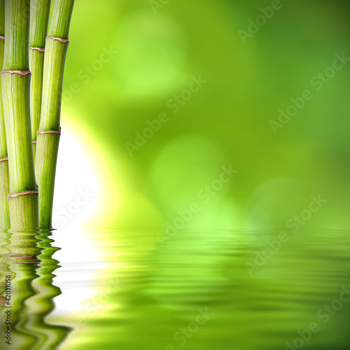 Photo: troncos de bambú verde sobre el agua troncos de bambú verde sobre el agua