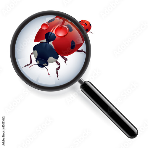 Vektor: Ladybug Ladybug