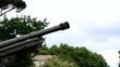 Sparo del cannone del Gianicolo a mezzo giorno
