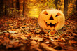 Photo: Halloween pumpkin in autumn forest Halloween pumpkin in autumn forest