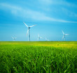 Wind turbines on green field. Clean energy