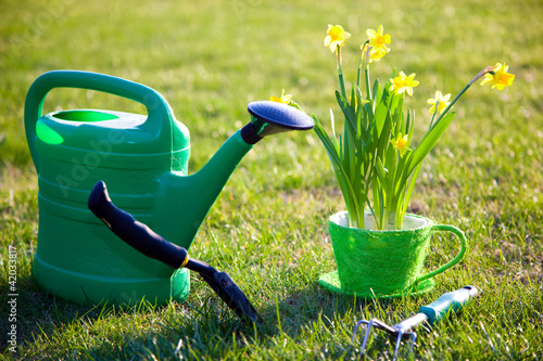Photo: Gardening tools and flowers in a sunny garden Gardening tools and flowers in a sunny garden