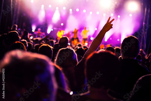 People having fun on music concert and/or disco