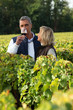 Winegrowers in the vineyard with a glass of wine