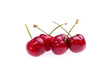 Wet Cherries On White