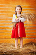 Beautiful girl holding ears of wheat
