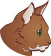Cat's face