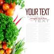Tomatos, chives, garlic, red chili, and parsley on white