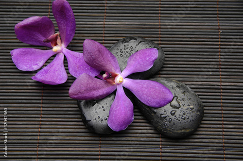Photo: Two pink orchid on zen stones on mat Two pink orchid on zen stones on mat