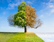 Four Seasons