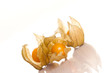 physalis