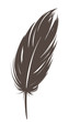 Vector: Vector feather Vector feather