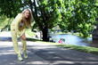 Photo: Woman gets leg injury while working out in park Woman gets leg injury while working out in park