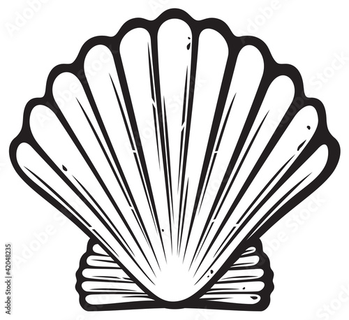 Vetor: seashell (sea shell) seashell (sea shell)