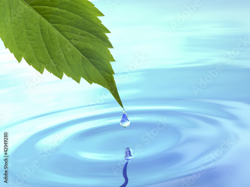 Illustration: Drop fall from leaf on ripple water. Drop fall from leaf on ripple water.