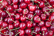 Red sweet cherry