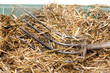Photo: Ausmisten Ausmisten