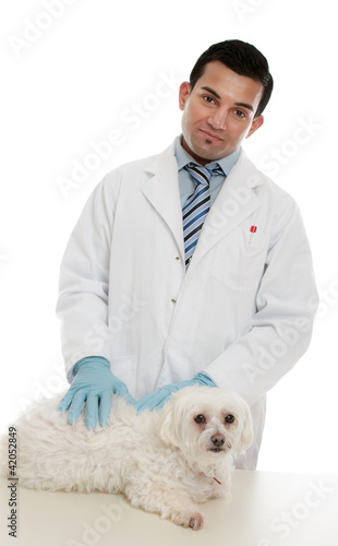 Photo: Vet with sick pet Vet with sick pet